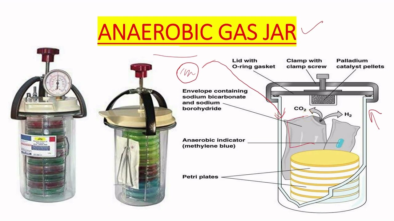صورة جرة الزراعة اللاهوائية (Anaerobic Gas Jar) (Anaerobic Gas Jar) - واقف للتجارة صنعاء