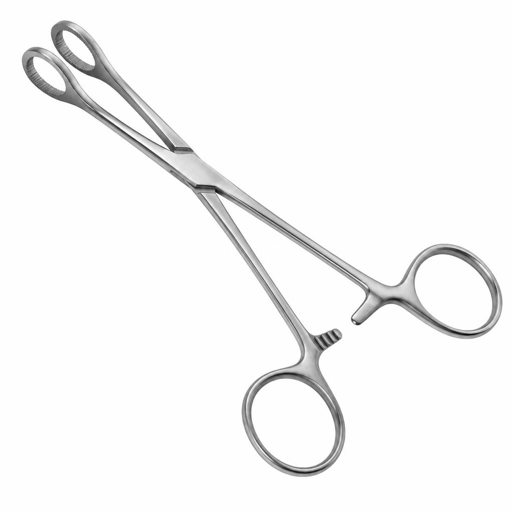 صورة باب كوك فورسبس (Babcock Forceps) - واقف للتجارة صنعاء صورة باب كوك فورسبس (Babcock Forceps) - واقف للتجارة صنعاء