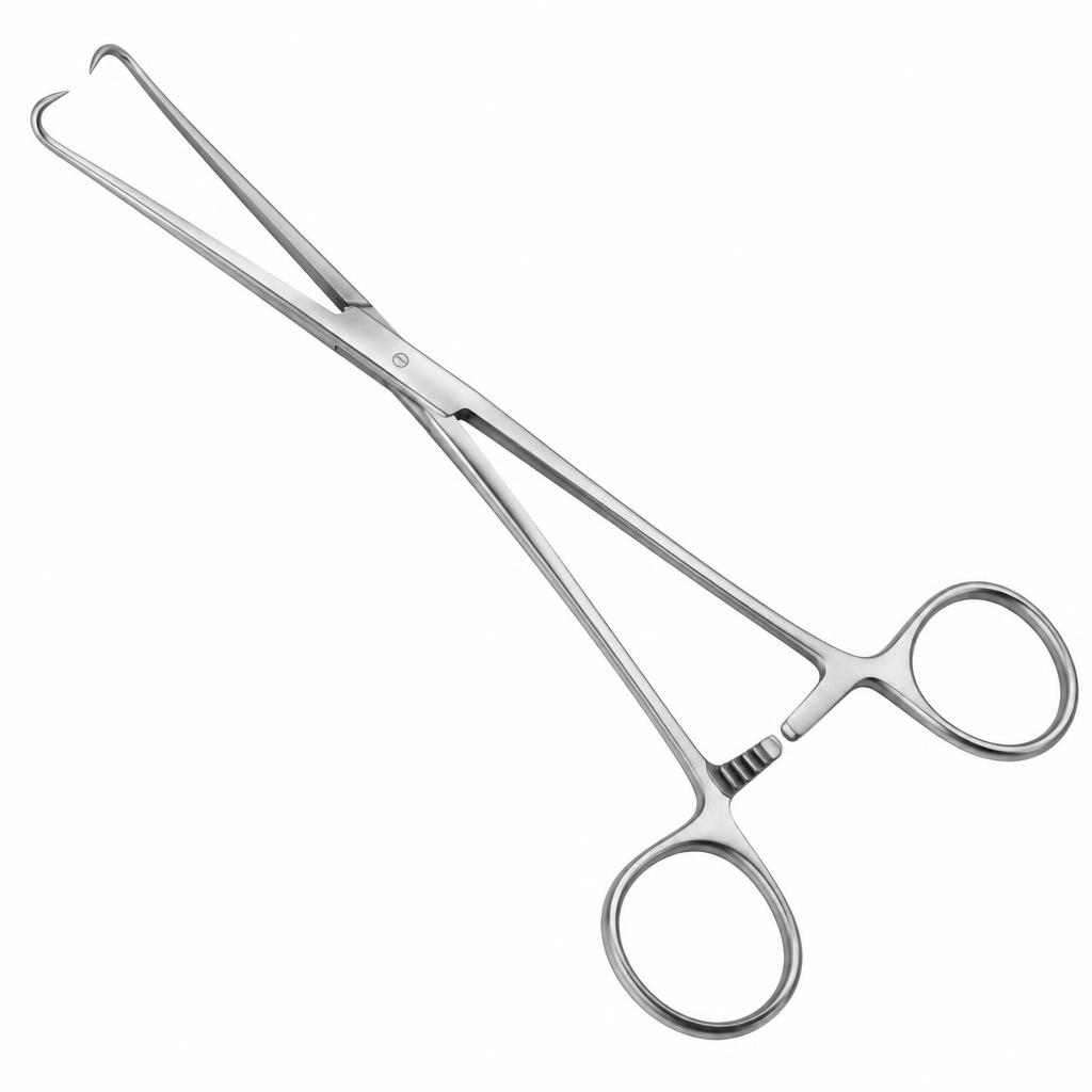 صورة ماسك عنق رحم مقاس 25 سم — WS-408-019 (Cervical Tenaculum Forceps 25 cm — WS-408-019) - واقف للتجارة صنعاء صورة ماسك عنق رحم مقاس 25 سم — WS-408-019 (Cervical Tenaculum Forceps 25 cm — WS-408-019) - واقف للتجارة صنعاء