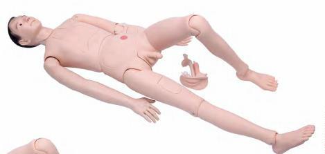 صورة دمية تدريب تمريضي عالية الجودة - موديل جديد (ذكر) (New Style High Quality Nurse Training Doll (Male)) - واقف للتجارة صنعاء صورة دمية تدريب تمريضي عالية الجودة - موديل جديد (ذكر) (New Style High Quality Nurse Training Doll (Male)) - واقف للتجارة صنعاء