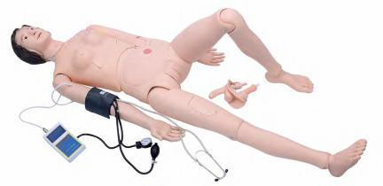 صورة دمية تدريب تمريضي عالية الجودة - موديل جديد (أنثى) (New Style High Quality Nurse Training Doll (Female)) - واقف للتجارة صنعاء صورة دمية تدريب تمريضي عالية الجودة - موديل جديد (أنثى) (New Style High Quality Nurse Training Doll (Female)) - واقف للتجارة صنعاء