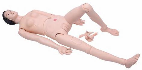 صورة دمية تدريب تمريضي عالية الجودة (أنثى) (High Quality Nurse Training Doll (Female)) - واقف للتجارة صنعاء صورة دمية تدريب تمريضي عالية الجودة (أنثى) (High Quality Nurse Training Doll (Female)) - واقف للتجارة صنعاء
