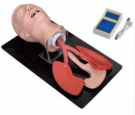 صورة مجسم تنبيب القصبة الهوائية - متقدم (Advanced Human Trachea Intubation Model) - واقف للتجارة صنعاء صورة مجسم تنبيب القصبة الهوائية - متقدم (Advanced Human Trachea Intubation Model) - واقف للتجارة صنعاء