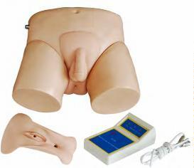 صورة محاكي قسطرة بولية إلكتروني (Electronic Urethral Catheterization Simulator) - واقف للتجارة صنعاء صورة محاكي قسطرة بولية إلكتروني (Electronic Urethral Catheterization Simulator) - واقف للتجارة صنعاء
