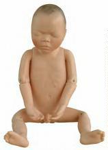 صورة مجسم حديث الولادة (مجسم رضيع) (Newborn Model (Baby Model)) - واقف للتجارة صنعاء صورة مجسم حديث الولادة (مجسم رضيع) (Newborn Model (Baby Model)) - واقف للتجارة صنعاء