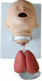 صورة مجسم تدريب التنبيب للرضّع (Infant Intybation Training Model) - واقف للتجارة صنعاء صورة مجسم تدريب التنبيب للرضّع (Infant Intybation Training Model) - واقف للتجارة صنعاء