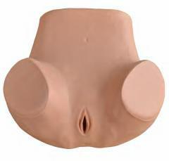 صورة محاكي تدريب نسائي (Gynecological Training Simulator) - واقف للتجارة صنعاء صورة محاكي تدريب نسائي (Gynecological Training Simulator) - واقف للتجارة صنعاء