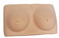 صورة مجسم فحص الثدي (Breast Examination Model) - واقف للتجارة صنعاء صورة مجسم فحص الثدي (Breast Examination Model) - واقف للتجارة صنعاء