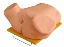 صورة مجسم الكحت التشخيصي (Diagnostic Curettage Model) - واقف للتجارة صنعاء صورة مجسم الكحت التشخيصي (Diagnostic Curettage Model) - واقف للتجارة صنعاء