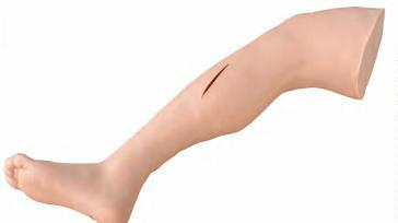 صورة ساق تدريب على الخياطة - متقدم (Advanced Suture Practice Leg) - واقف للتجارة صنعاء صورة ساق تدريب على الخياطة - متقدم (Advanced Suture Practice Leg) - واقف للتجارة صنعاء