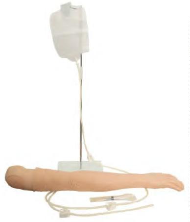 صورة ذراع تدريب وريدي متعدد الوظائف (Multi-Functional IV Training Arm) - واقف للتجارة صنعاء صورة ذراع تدريب وريدي متعدد الوظائف (Multi-Functional IV Training Arm) - واقف للتجارة صنعاء