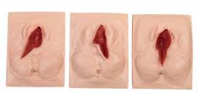 صورة ذراع تدريب على وخز الشرايين (Artery Puncture Training Arm) - واقف للتجارة صنعاء صورة ذراع تدريب على وخز الشرايين (Artery Puncture Training Arm) - واقف للتجارة صنعاء