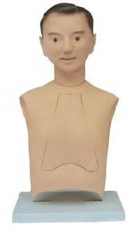 صورة مجسم تدريب أنبوب أنفي معدي - متقدم (Advanced Nasogastric Intubation Training Model) - واقف للتجارة صنعاء صورة مجسم تدريب أنبوب أنفي معدي - متقدم (Advanced Nasogastric Intubation Training Model) - واقف للتجارة صنعاء