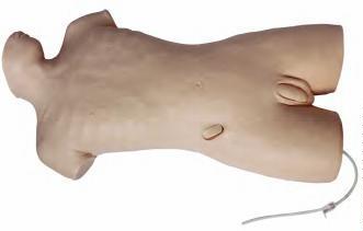 صورة مجسم الوخز الوريدي المركزي (Central Venous Puncture Model) - واقف للتجارة صنعاء صورة مجسم الوخز الوريدي المركزي (Central Venous Puncture Model) - واقف للتجارة صنعاء