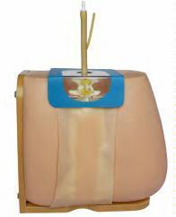 صورة مجسم البزل القطني (Lumbar Puncture Model) - واقف للتجارة صنعاء صورة مجسم البزل القطني (Lumbar Puncture Model) - واقف للتجارة صنعاء
