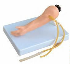 صورة محاكي وخز الأوردة لكامل جسم الرضيع - متقدم (Advanced Infant Full Body Venipuncture Simulator) - واقف للتجارة صنعاء صورة محاكي وخز الأوردة لكامل جسم الرضيع - متقدم (Advanced Infant Full Body Venipuncture Simulator) - واقف للتجارة صنعاء