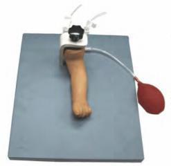 صورة ساق وخز أوردة للرضّع - متقدم (Advanced Infant Venipuncture Leg) - واقف للتجارة صنعاء صورة ساق وخز أوردة للرضّع - متقدم (Advanced Infant Venipuncture Leg) - واقف للتجارة صنعاء
