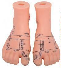 صورة مجسم قدم للتدليك 12 سم (Massage Foot Model 12CM) - واقف للتجارة صنعاء صورة مجسم قدم للتدليك 12 سم (Massage Foot Model 12CM) - واقف للتجارة صنعاء